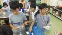 f:id:ginga_gakuin:20140710080858j:image
