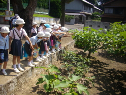 f:id:ginga_gakuin:20140715131439j:image