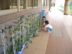 f:id:ginga_gakuin:20140715131730j:image