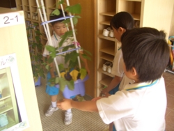 f:id:ginga_gakuin:20140715131737j:image