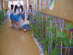 f:id:ginga_gakuin:20140715131744j:image