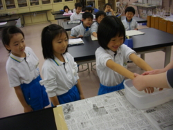 f:id:ginga_gakuin:20141201115835j:image