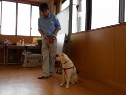DSCN0328