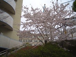 CIMG3985