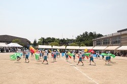 IMG_4321