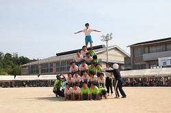 IMG_5445