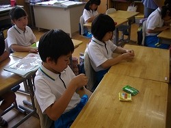 IMGP2987