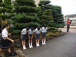 IMGP3441