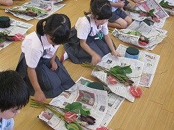IMG_2575