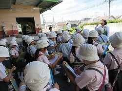 IMG_0498