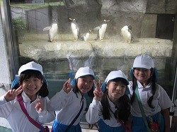 IMG_2593