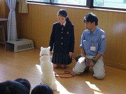 IMGP3872