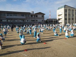 IMG_1347