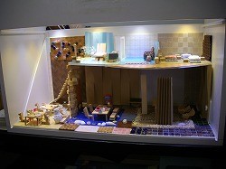 IMGP3199