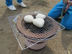 IMG_0844