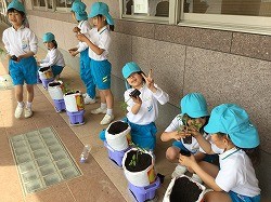 IMG_0953