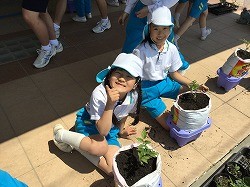 IMG_0955